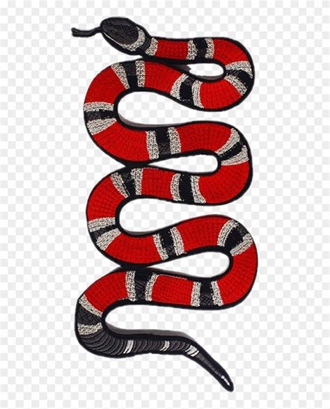 gucci snake without background|Gucci snakes.